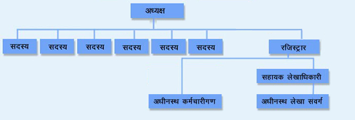 Organisation Chart